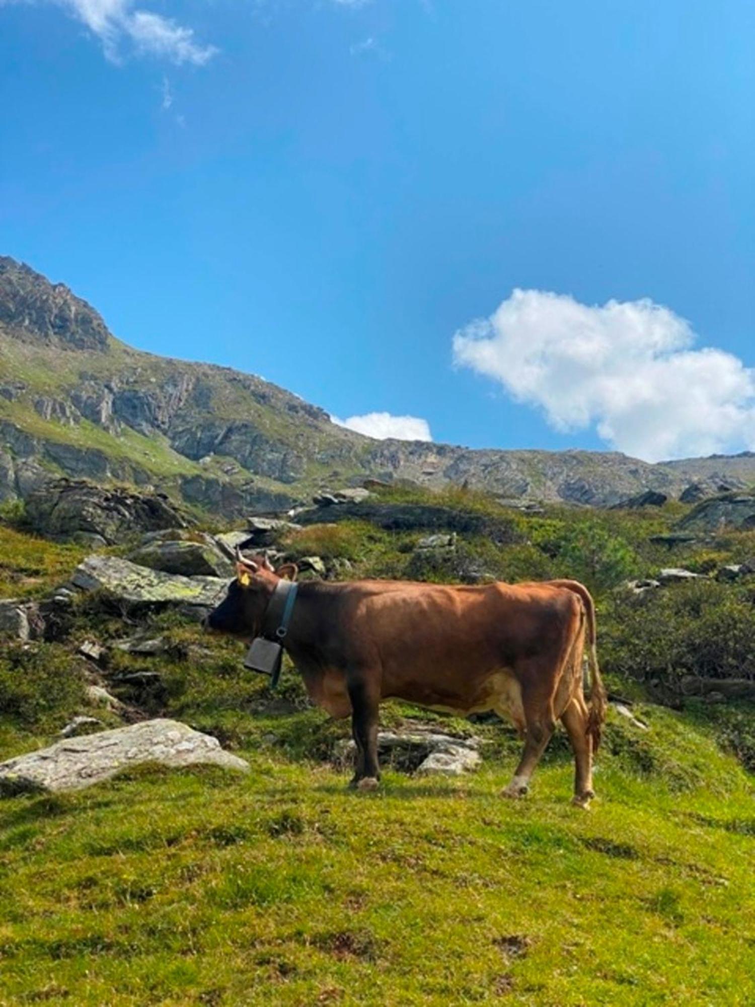 Haus Dora Apartment 1 Filzenkogel Mayrhofen Zewnętrze zdjęcie
